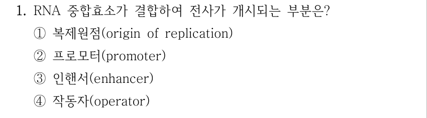1. RNA 중합효소가 결합하여 전사가 개시되는 부분은? ①복제원점(origin of replication) ②프로모터(promoter) ③인핸서(enhancer) ④작동자(operator)