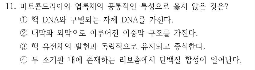 11. 미토콘드리아와 엽록체의 공통적인 특성으로 옳지 않은 것은? ①핵 DNA와 구별되는 자체 DNA를 가진다. ②내막과 외막으로 이루어진 이중막 구조를 가진다. ③핵 유전체의 발현과 독립적으로 유지되고 증식한다. ④두 소기관 내에 존재하는 리보솜에서 단백질 합성이 일어난다.