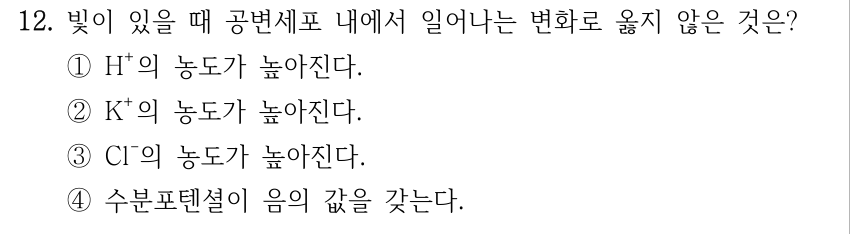 12. 빛이 있을 때 공변세포 내에서 일어나는 변화로 옳지 않은 것은? ①H⁺의 농도가 높아진다. ②K⁺의 농도가 높아진다. ③Cl⁻의 농도가 높아진다. ④수분포텐셜이 음의 값을 갖는다.