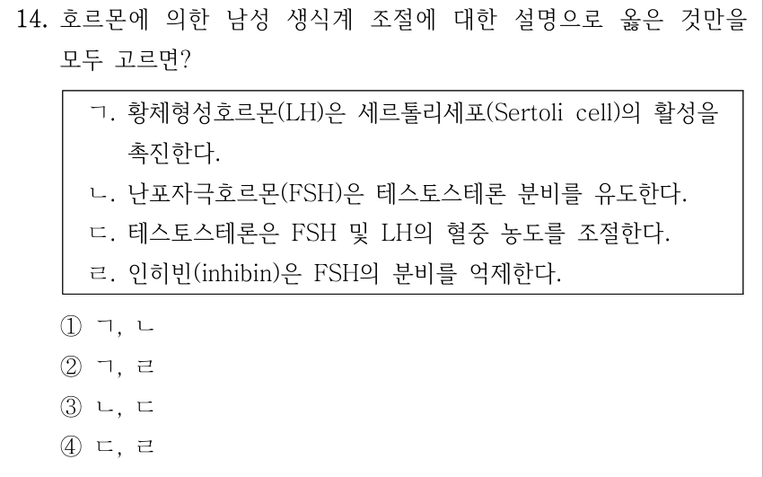 14. 호르몬에 의한 남성 생식계 조절에 대한 설명으로 옳은 것만을 모두 고르면? ㄱ. 황체형성호르몬(LH)은 세르톨리세포(Sertoli cell)의 활성을 촉진한다. ㄴ. 난포자극호르몬(FSH)은 테스토스테론 분비를 유도한다. ㄷ. 테스토스테론은 FSH 및 LH의 혈중 농도를 조절한다. ㄹ. 인히빈(inhibin)은 FSH의 분비를 억제한다. ①ㄱ, ㄴ ②ㄱ, ㄹ ③ㄴ, ㄷ ④ㄷ, ㄹ