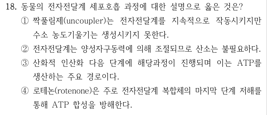 18. 동물의 전자전달계 세포호흡 과정에 대한 설명으로 옳은 것은? ①짝풀림제(uncoupler)는 전자전달계를 지속적으로 작동시키지만 수소 농도기울기는 생성시키지 못한다. ②전자전달계는 양성자구동력에 의해 조절되므로 산소는 불필요하다. ③산화적 인산화 다음 단계에 해당과정이 진행되며 이는 ATP를 생산하는 주요 경로이다. ④로테논(rotenone)은 주로 전자전달계 복합체의 마지막 단계 저해를 통해 ATP 합성을 방해한다.