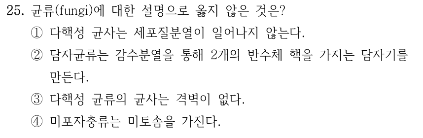 25. 균류(fungi)에 대한 설명으로 옳지 않은 것은? ①다핵성 균사는 세포질분열이 일어나지 않는다. ②담자균류는 감수분열을 통해 2개의 반수체 핵을 가지는 담자기를 만든다. ③다핵성 균류의 균사는 격벽이 없다. ④미포자충류는 미토솜을 가진다.