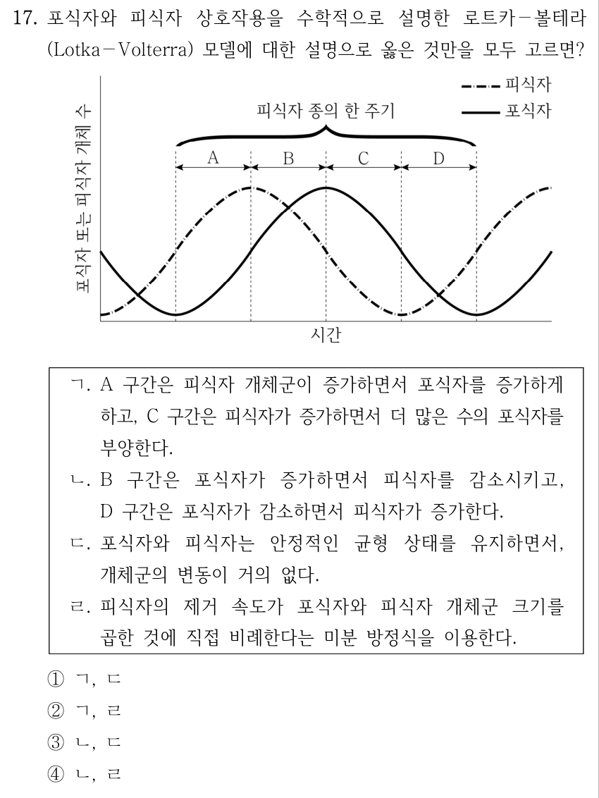 17. 포식자와 피식자 상호작용을 수학적으로 설명한 로트카－볼테라 (Lotka－Volterra) 모델에 대한 설명으로 옳은 것만을 모두 고르면? 그림 설명: 가로축은 시간, 세로축은 포식자 또는 피식자 개체수이다. 일점쇄선은 피식자, 실선은 포식자이다. 피식자 종의 한 주기를 왼쪽부터 A, B, C, D 네 구간으로 나누고 경계를 세로 점선으로 표시한다. 피식자 곡선은 A/B 경계에서 최대, C/D 경계에서 최소이고, 포식자 곡선은 A의 시작과 D의 끝에서 최소, B/C 경계에서 최대이다. 축에 수치 눈금은 없다. ㄱ. A 구간은 피식자 개체군이 증가하면서 포식자를 증가하게 하고, C 구간은 피식자가 증가하면서 더 많은 수의 포식자를 부양한다. ㄴ. B 구간은 포식자가 증가하면서 피식자를 감소시키고, D 구간은 포식자가 감소하면서 피식자가 증가한다. ㄷ. 포식자와 피식자는 안정적인 균형 상태를 유지하면서, 개체군의 변동이 거의 없다. ㄹ. 피식자의 제거 속도가 포식자와 피식자 개체군 크기를 곱한 것에 직접 비례한다는 미분 방정식을 이용한다. ①ㄱ, ㄷ ②ㄱ, ㄹ ③ㄴ, ㄷ ④ㄴ, ㄹ