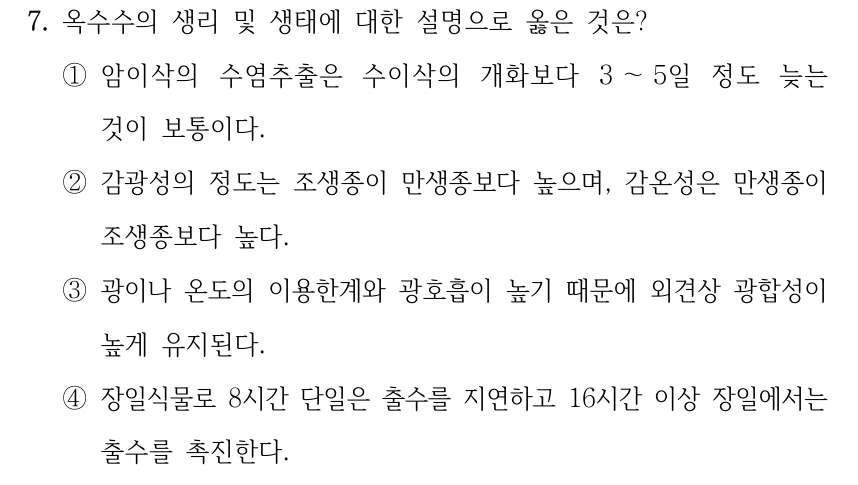 7. 옥수수의 생리 및 생태에 대한 설명으로 옳은 것은? ①암이삭의 수염추출은 수이삭의 개화보다 3 ～5일 정도 늦는 것이 보통이다. ②감광성의 정도는 조생종이 만생종보다 높으며, 감온성은 만생종이 조생종보다 높다. ③광이나 온도의 이용한계와 광호흡이 높기 때문에 외견상 광합성이 높게 유지된다. ④장일식물로 8시간 단일은 출수를 지연하고 16시간 이상 장일에서는 출수를 촉진한다.