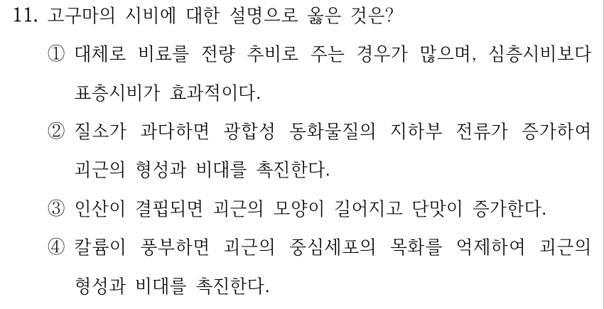 11. 고구마의 시비에 대한 설명으로 옳은 것은? ①대체로 비료를 전량 추비로 주는 경우가 많으며, 심층시비보다 표층시비가 효과적이다. ②질소가 과다하면 광합성 동화물질의 지하부 전류가 증가하여 괴근의 형성과 비대를 촉진한다. ③인산이 결핍되면 괴근의 모양이 길어지고 단맛이 증가한다. ④칼륨이 풍부하면 괴근의 중심세포의 목화를 억제하여 괴근의 형성과 비대를 촉진한다.