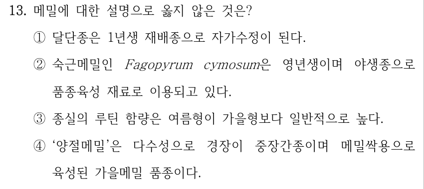 13. 메밀에 대한 설명으로 옳지 않은 것은? ①달단종은 1년생 재배종으로 자가수정이 된다. ②숙근메밀인 Fagopyrum cymosum은 영년생이며 야생종으로 품종육성 재료로 이용되고 있다. ③종실의 루틴 함량은 여름형이 가을형보다 일반적으로 높다. ④‘양절메밀’은 다수성으로 경장이 중장간종이며 메밀싹용으로 육성된 가을메밀 품종이다.