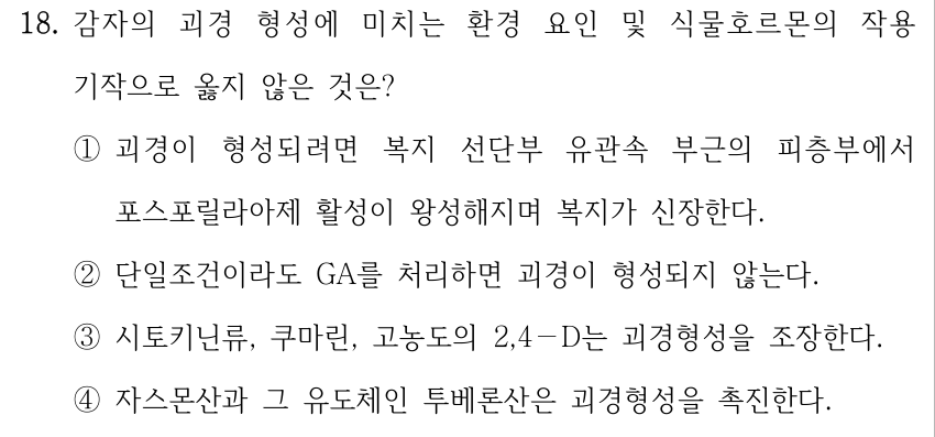 18. 감자의 괴경 형성에 미치는 환경 요인 및 식물호르몬의 작용 기작으로 옳지 않은 것은? ①괴경이 형성되려면 복지 선단부 유관속 부근의 피층부에서 포스포릴라아제 활성이 왕성해지며 복지가 신장한다. ②단일조건이라도 GA를 처리하면 괴경이 형성되지 않는다. ③시토키닌류, 쿠마린, 고농도의 2,4－D는 괴경형성을 조장한다. ④자스몬산과 그 유도체인 투베론산은 괴경형성을 촉진한다.