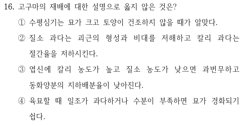 16. 고구마의 재배에 대한 설명으로 옳지 않은 것은? ①수평심기는 묘가 크고 토양이 건조하지 않을 때가 알맞다. ②질소 과다는 괴근의 형성과 비대를 저해하고 칼리 과다는 절간율을 저하시킨다. ③엽신에 칼리 농도가 높고 질소 농도가 낮으면 과번무하고 동화양분의 지하배분율이 낮아진다. ④육묘할 때 일조가 과다하거나 수분이 부족하면 묘가 경화되기 쉽다.