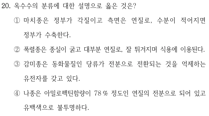 20. 옥수수의 분류에 대한 설명으로 옳은 것은? ①마치종은 정부가 각질이고 측면은 연질로, 수분이 적어지면 정부가 수축한다. ②폭렬종은 종실이 굵고 대부분 연질로, 잘 튀겨지며 식용에 이용된다. ③감미종은 동화물질인 당류가 전분으로 전환되는 것을 억제하는 유전자를 갖고 있다. ④나종은 아밀로펙틴함량이 78 % 정도인 연질의 전분으로 되어 있고 유백색으로 불투명하다.