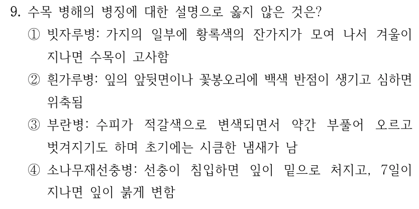 9. 수목 병해의 병징에 대한 설명으로 옳지 않은 것은? ①빗자루병: 가지의 일부에 황록색의 잔가지가 모여 나서 겨울이 지나면 수목이 고사함 ②흰가루병: 잎의 앞뒷면이나 꽃봉오리에 백색 반점이 생기고 심하면 위축됨 ③부란병: 수피가 적갈색으로 변색되면서 약간 부풀어 오르고 벗겨지기도 하며 초기에는 시큼한 냄새가 남 ④소나무재선충병: 선충이 침입하면 잎이 밑으로 처지고, 7일이 지나면 잎이 붉게 변함