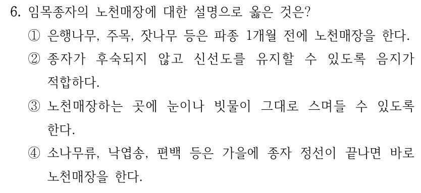 6. 임목종자의 노천매장에 대한 설명으로 옳은 것은? ①은행나무, 주목, 잣나무 등은 파종 1개월 전에 노천매장을 한다. ②종자가 후숙되지 않고 신선도를 유지할 수 있도록 음지가 적합하다. ③노천매장하는 곳에 눈이나 빗물이 그대로 스며들 수 있도록 한다. ④소나무류, 낙엽송, 편백 등은 가을에 종자 정선이 끝나면 바로 노천매장을 한다.