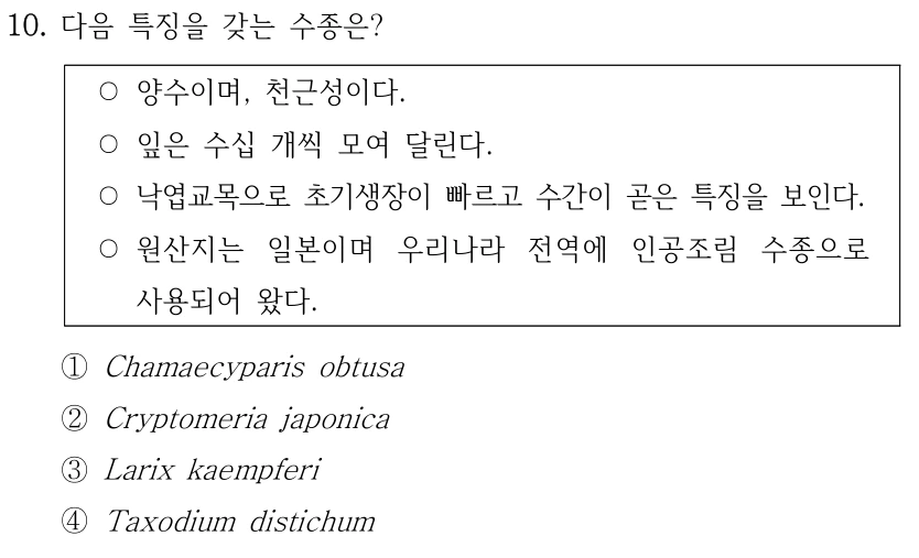 10. 다음 특징을 갖는 수종은? ○양수이며, 천근성이다. ○잎은 수십 개씩 모여 달린다. ○낙엽교목으로 초기생장이 빠르고 수간이 곧은 특징을 보인다. ○원산지는 일본이며 우리나라 전역에 인공조림 수종으로 사용되어 왔다. ①Chamaecyparis obtusa ②Cryptomeria japonica ③Larix kaempferi ④Taxodium distichum