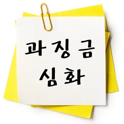 과징금 심화
