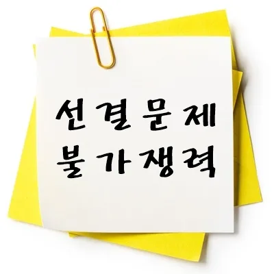 선결문제 불가쟁력