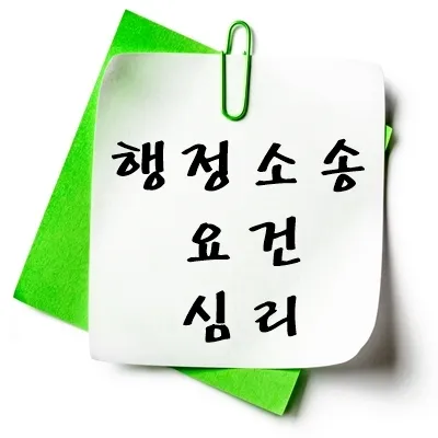 행정소송 요건 심리
