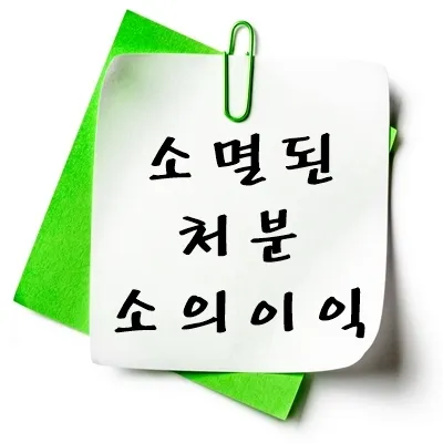 소멸된 처분 소의 이익