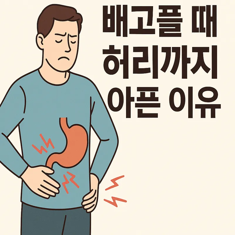 배고플 때 허리까지 아픈 이유